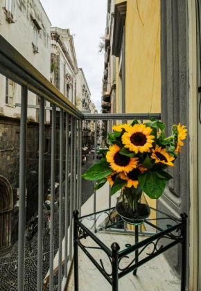 Napoli centro, DM suites